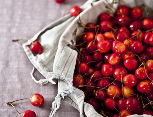 Ciliegie, bocconcini che allungano la vita