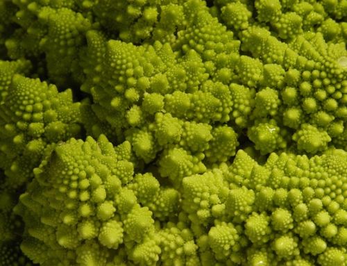 Broccolo romano: alimento nutraceutico spiegato dal tuo nutrizionista